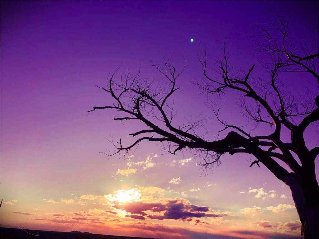 Joaquin R "Sweet Dreams" age 12